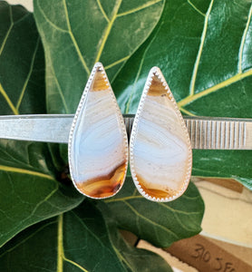 Montana Agate Teardrop Studs