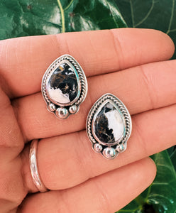 White Buffalo Studs