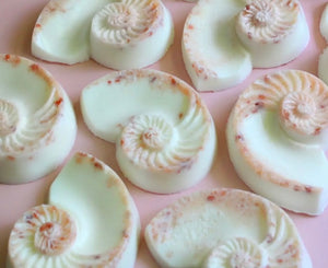 Don’t Be Salty Shea Butter Soap