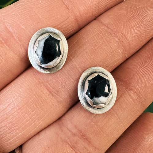 White Buffalo Studs