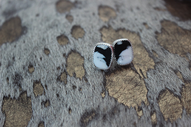 White Buffalo Studs