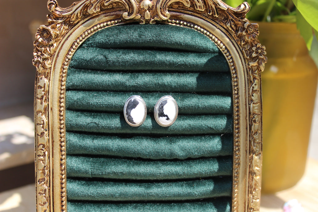 White Buffalo Studs